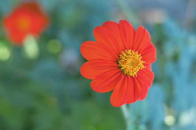 望更高水平 望更高水平