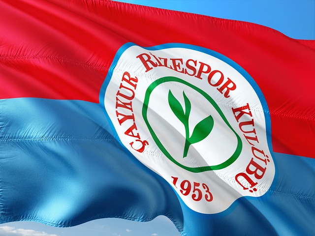 的一大障碍 的一大障碍