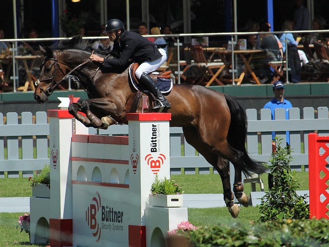 有一种说法 有一种说法