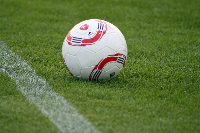 涵盖游泳 涵盖游泳