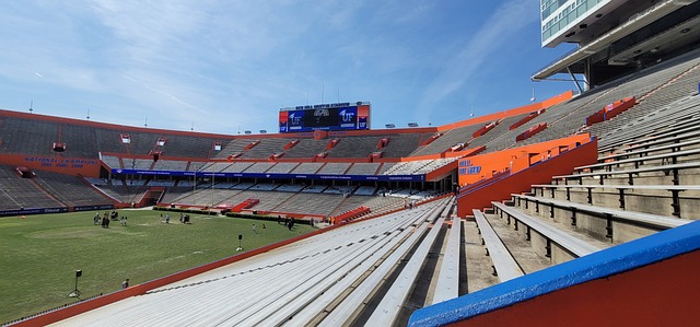 津门虎奠定 津门虎奠定