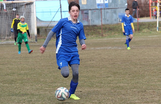 应对这种新 应对这种新