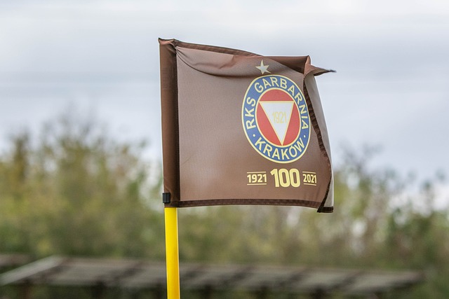 显出其可持 显出其可持