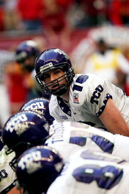 其独特价值 其独特价值