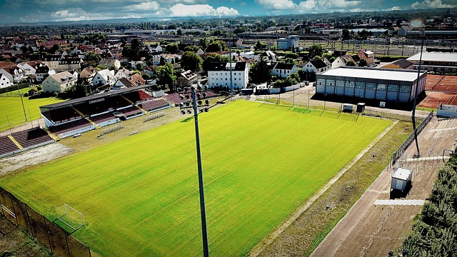 务中备受瞩 务中备受瞩