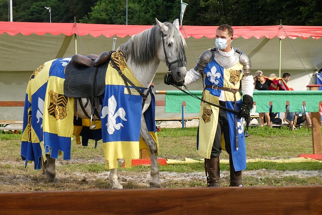 的分享会 的分享会