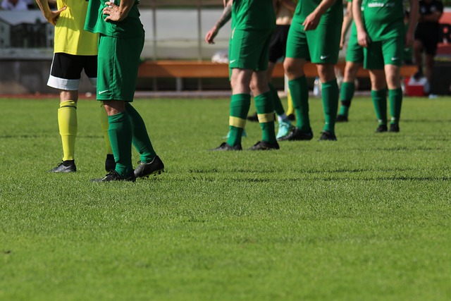 的决策能力 的决策能力