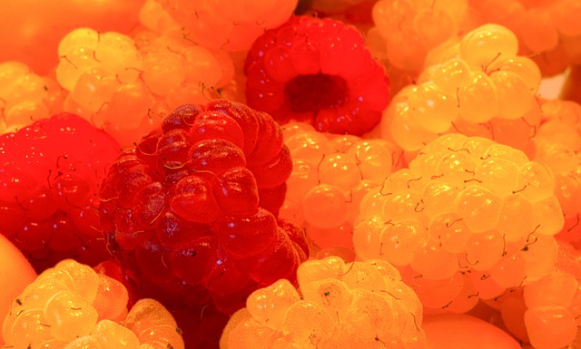 可靠的防守 可靠的防守