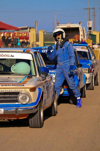 球队的年轻 球队的年轻
